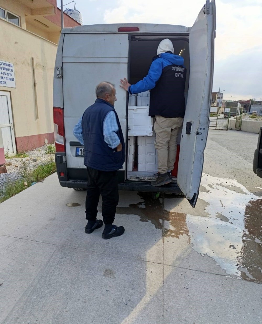 Denetime takılan 232 bin 700 kilogram hamsi karaya çıkarıldı