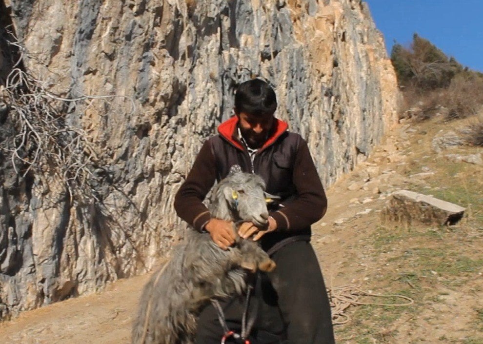 Kayalıklarda mahsur kalan 4 keçi kurtarıldı