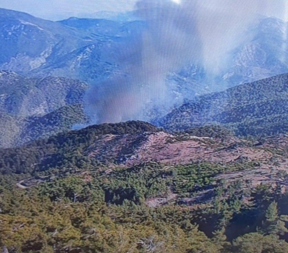 Köyceğiz’de orman yangını devam ediyor