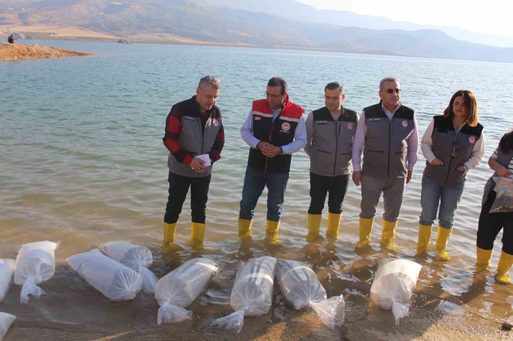 Siirt’te baraj göllerine 2 milyon balık yavrusu salındı