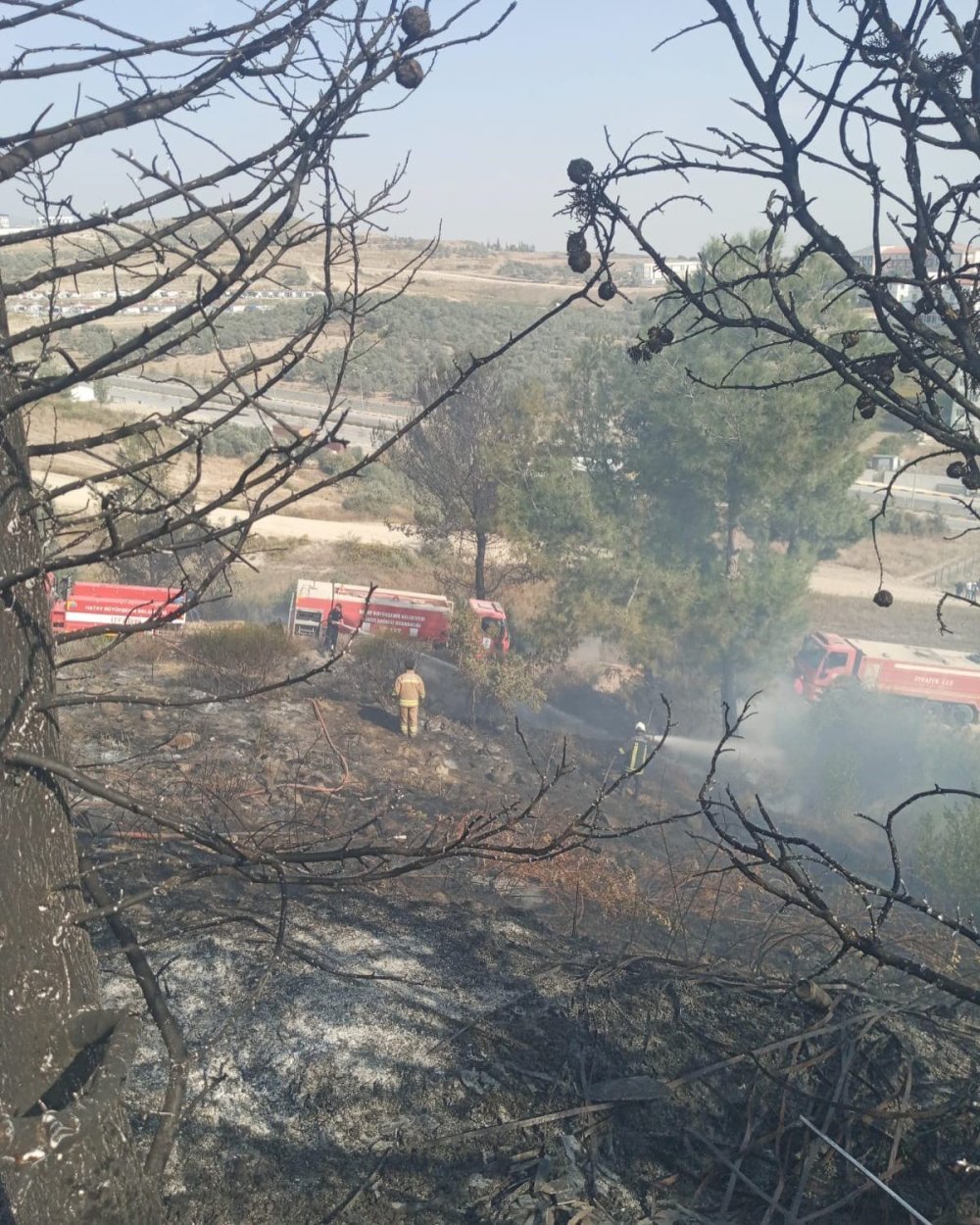 Antakya’da ormanlık alandaki yangına hızlı müdahale! Yangın büyümeden söndürüldü