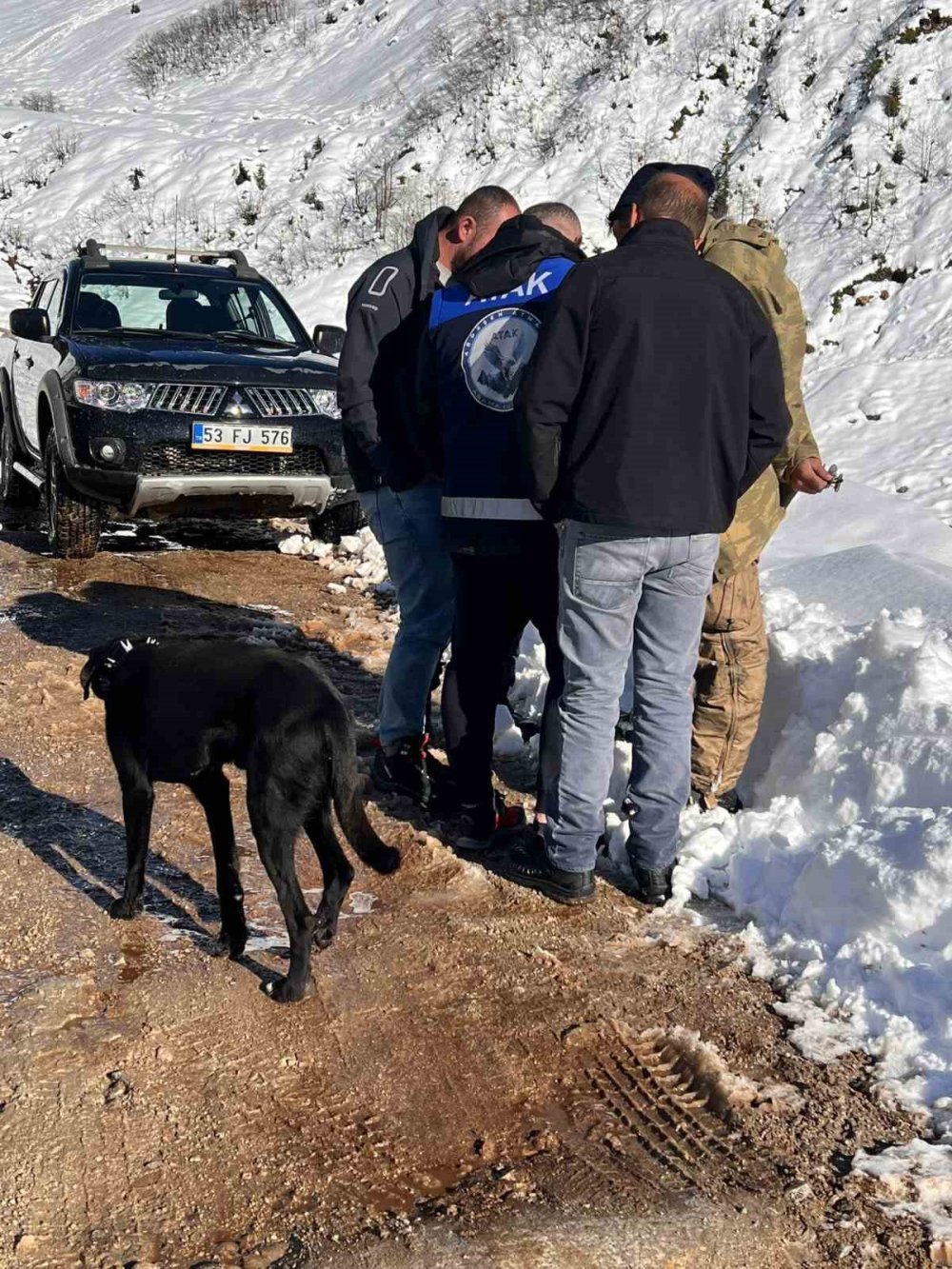 Ayı saldırı sonrası ahırdan kaçan 170 koyun sürüsü aranıyor