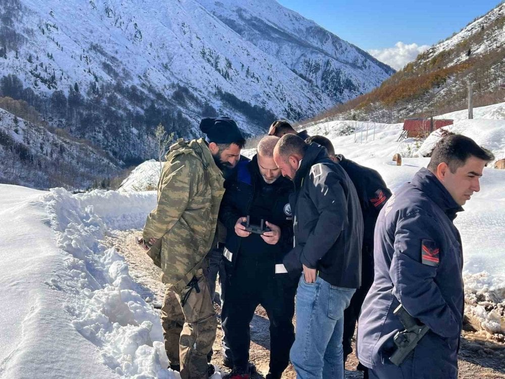 Ayı saldırı sonrası ahırdan kaçan 170 koyun sürüsü aranıyor