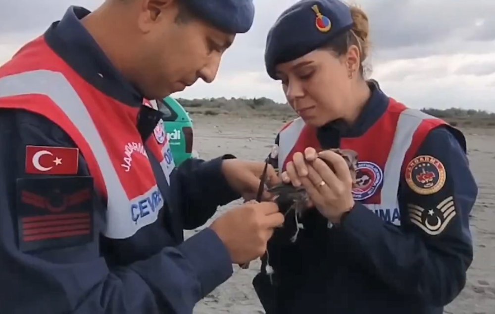 Kuş Cenneti’nde usulsüz yakalanan kuşlar serbest bırakıldı