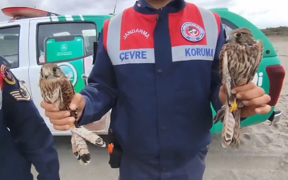 Kuş Cenneti’nde usulsüz yakalanan kuşlar serbest bırakıldı