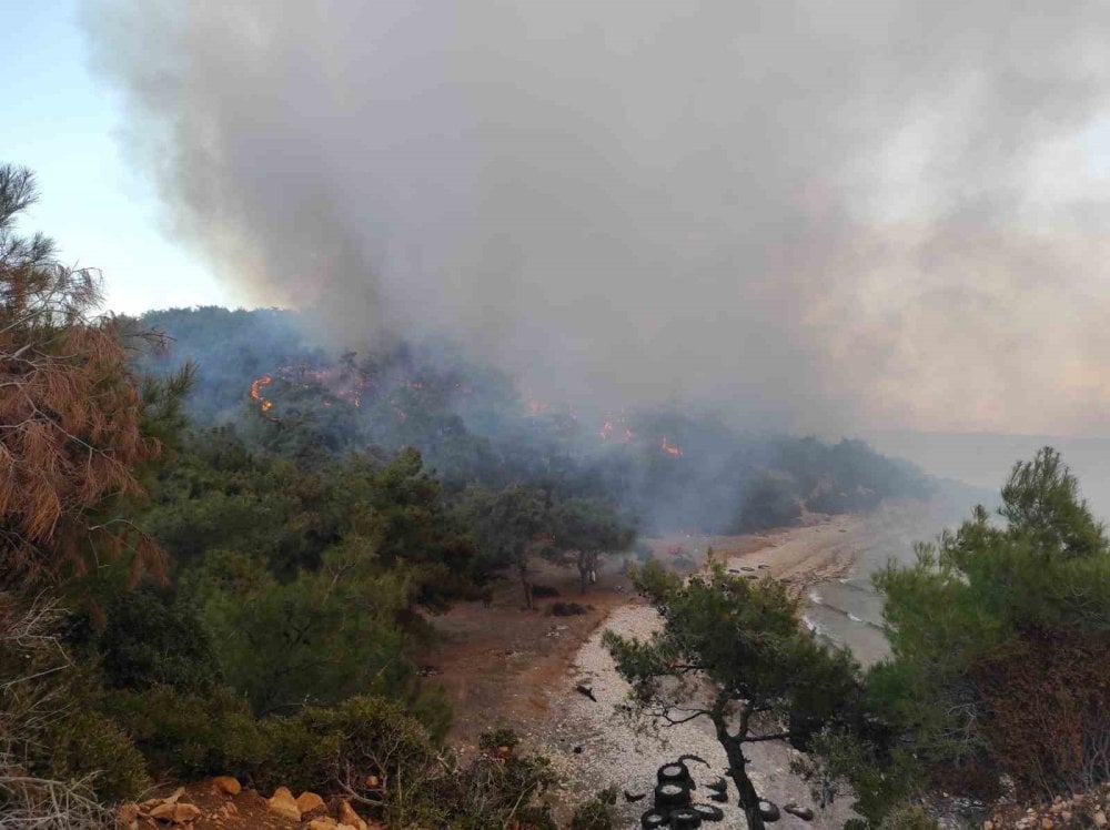 Edirne Keşan’da ormanlık alanda çıkan yangın kontrol altına alındı