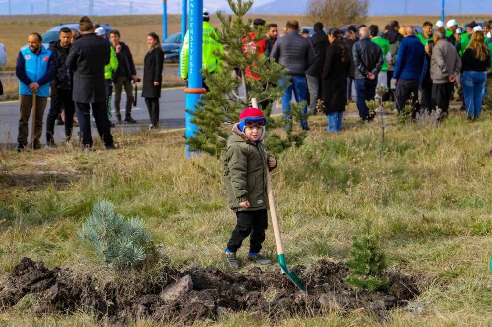 Ardahan’da 500 fidan toprakla buluştu