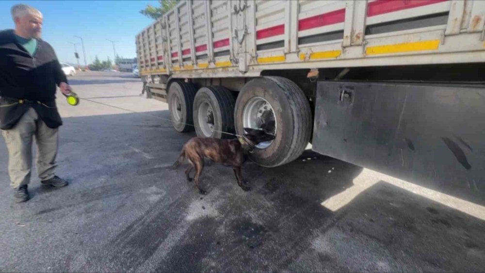 Dedektör köpek tepki verdi, tırın lastiğinden 53 kilo esrar çıktı