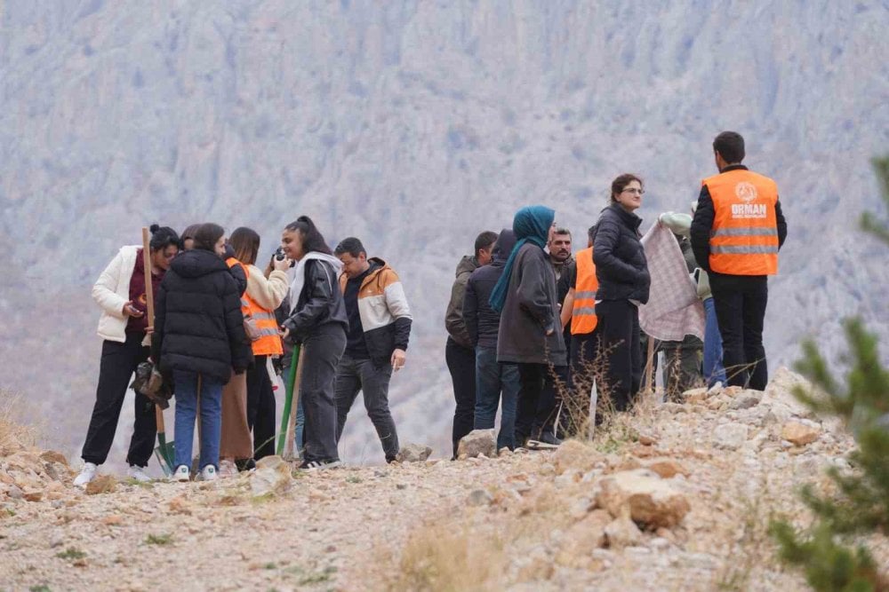 Kemaliye’de geleceğe nefes için fidan dikildi