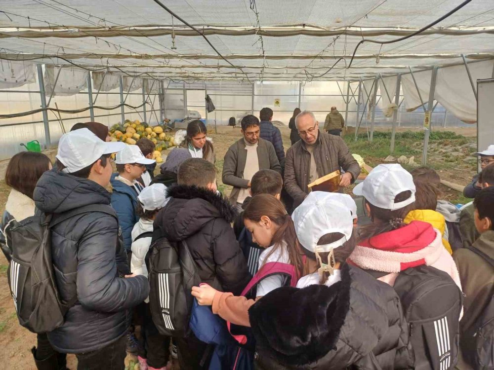 Doğa ve Bilim Okulu projesi başladı