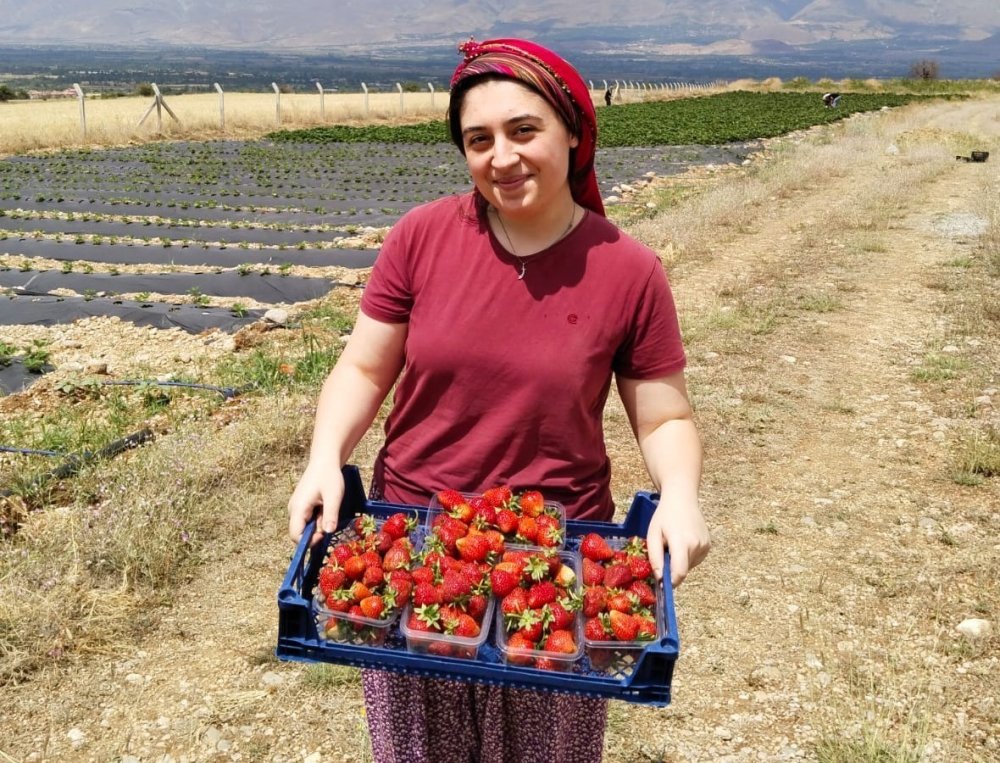 Tatlısu Köyü'nün hedefi: Çileğin merkezi olmak