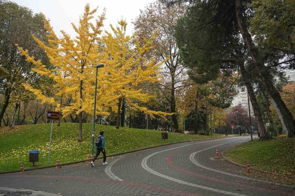 Bursa sonbaharı yaşıyor