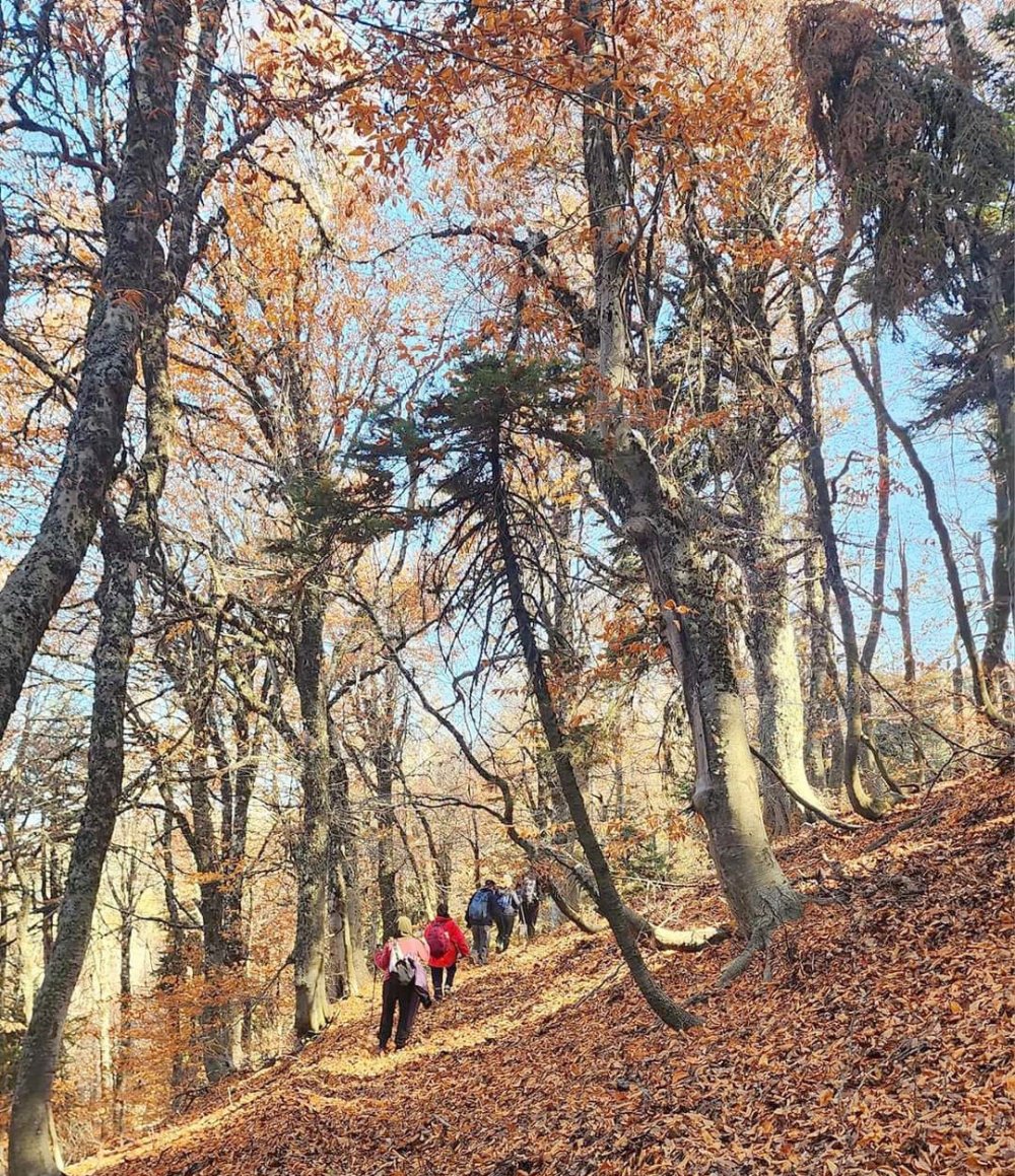 Amanos Dağları’nın sonbahar ahengi