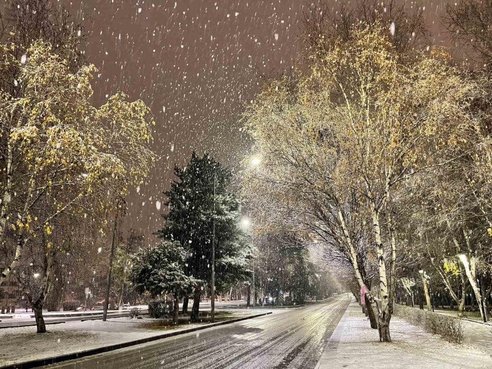 Erzurum’da kar yağışı etkili oldu