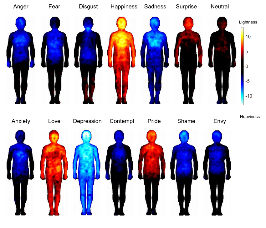 bodily-sensation-maps-bsms-of-basic-emotions-including-a-neutral-state-upper-panel.png