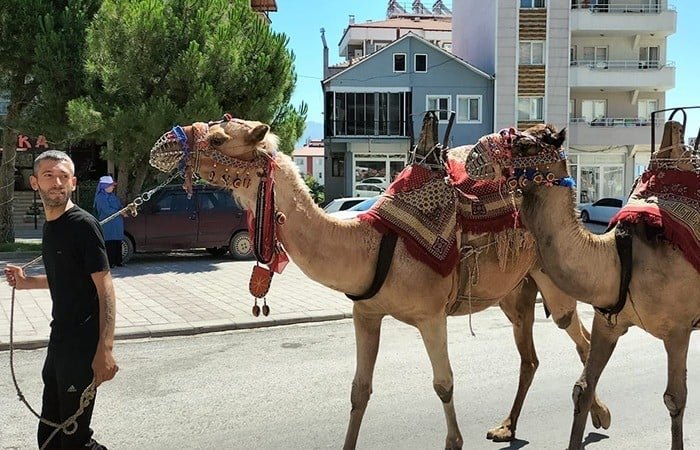 Yörük Çalıştayı’nda üniversitelerden bilimsel katkı sağlanacak