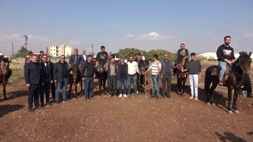 At sevdalıları bir araya geldi