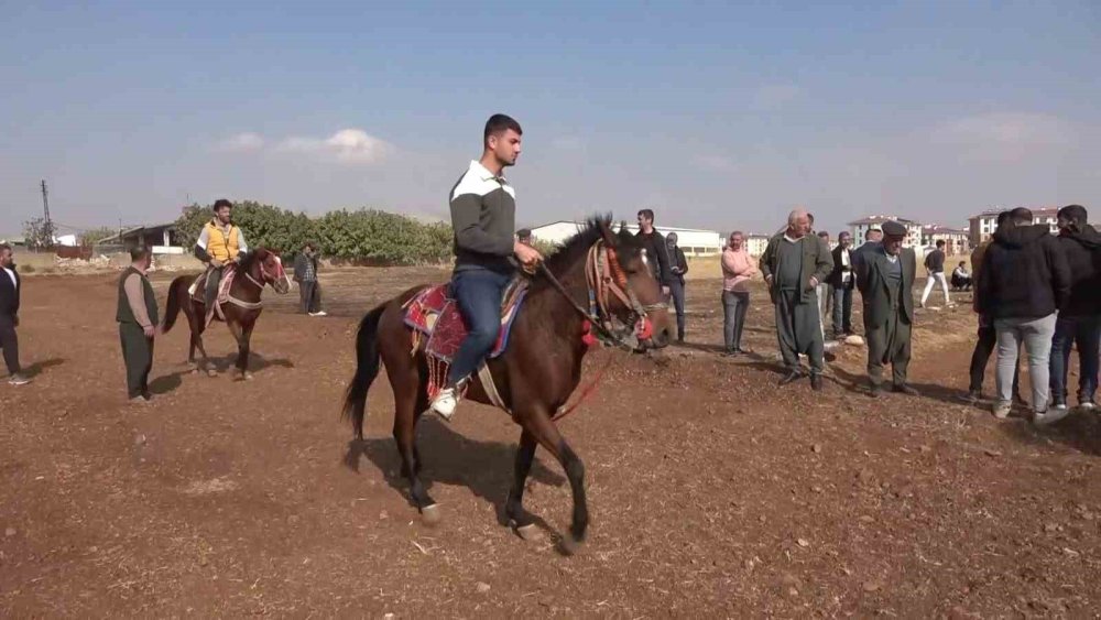 At sevdalıları bir araya geldi