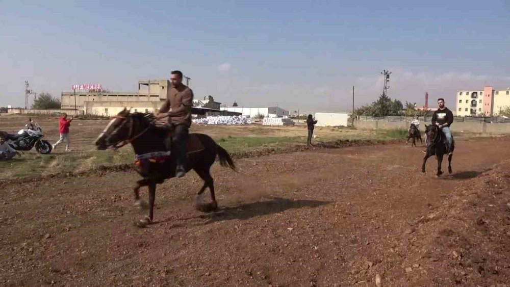 At sevdalıları bir araya geldi