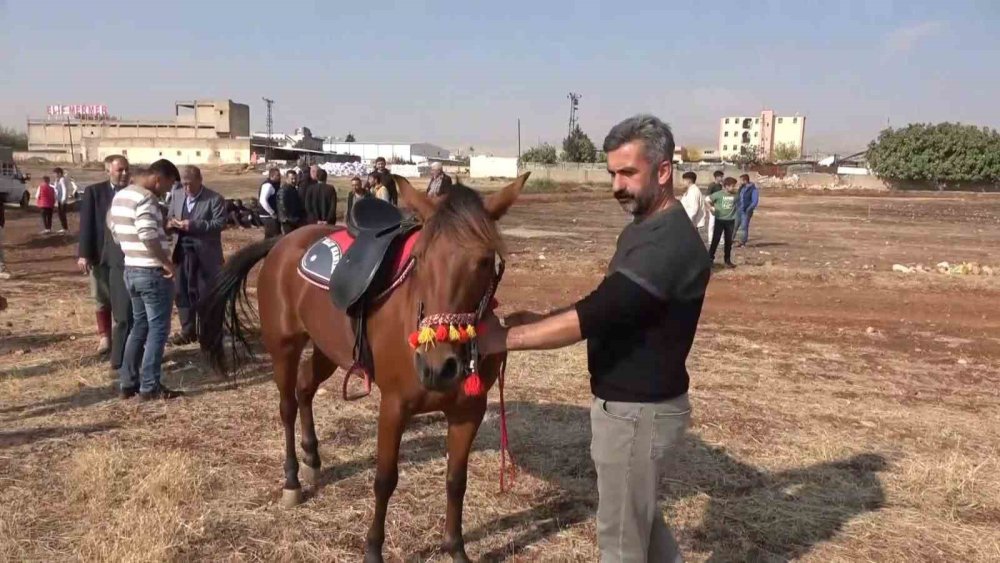 At sevdalıları bir araya geldi