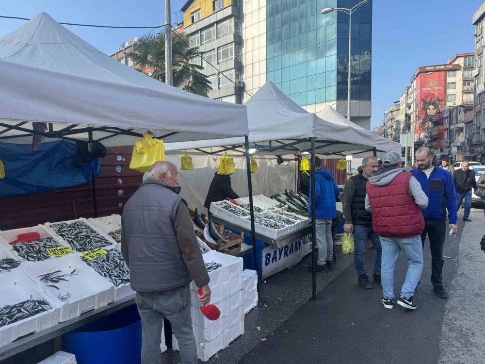 Fiyatı düşen hamsiye vatandaşlardan yoğun ilgi