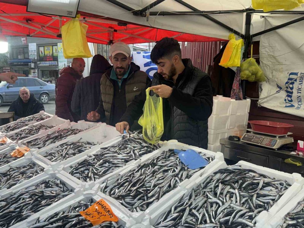 Fiyatı düşen hamsiye vatandaşlardan yoğun ilgi