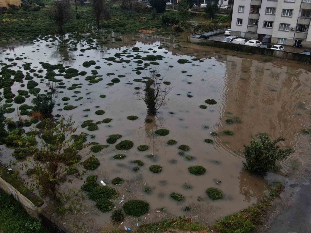 Rize’deki şiddetli yağış sonrası tarım arazileri göle döndü