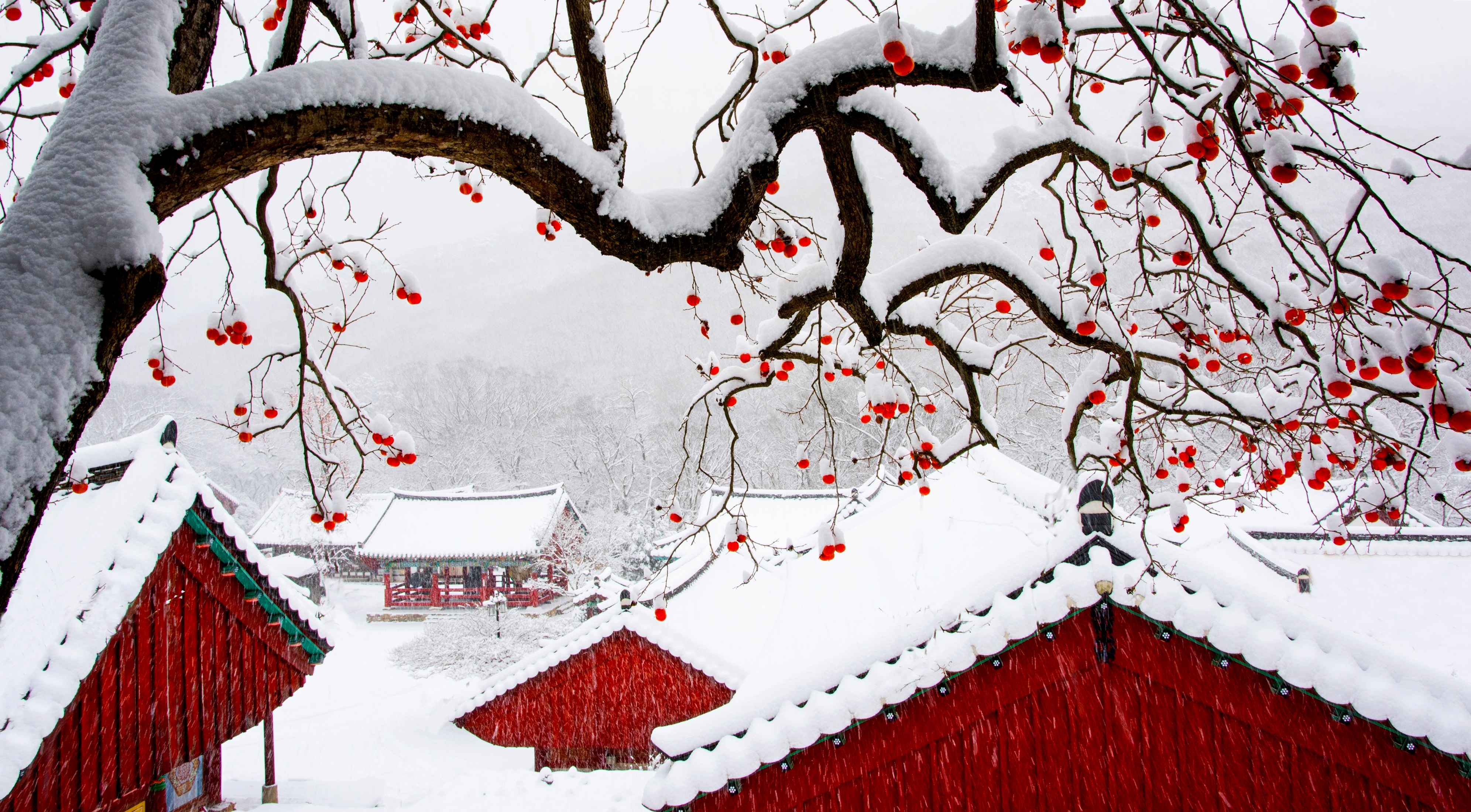 winter-landscape-of-a-temple.jpg