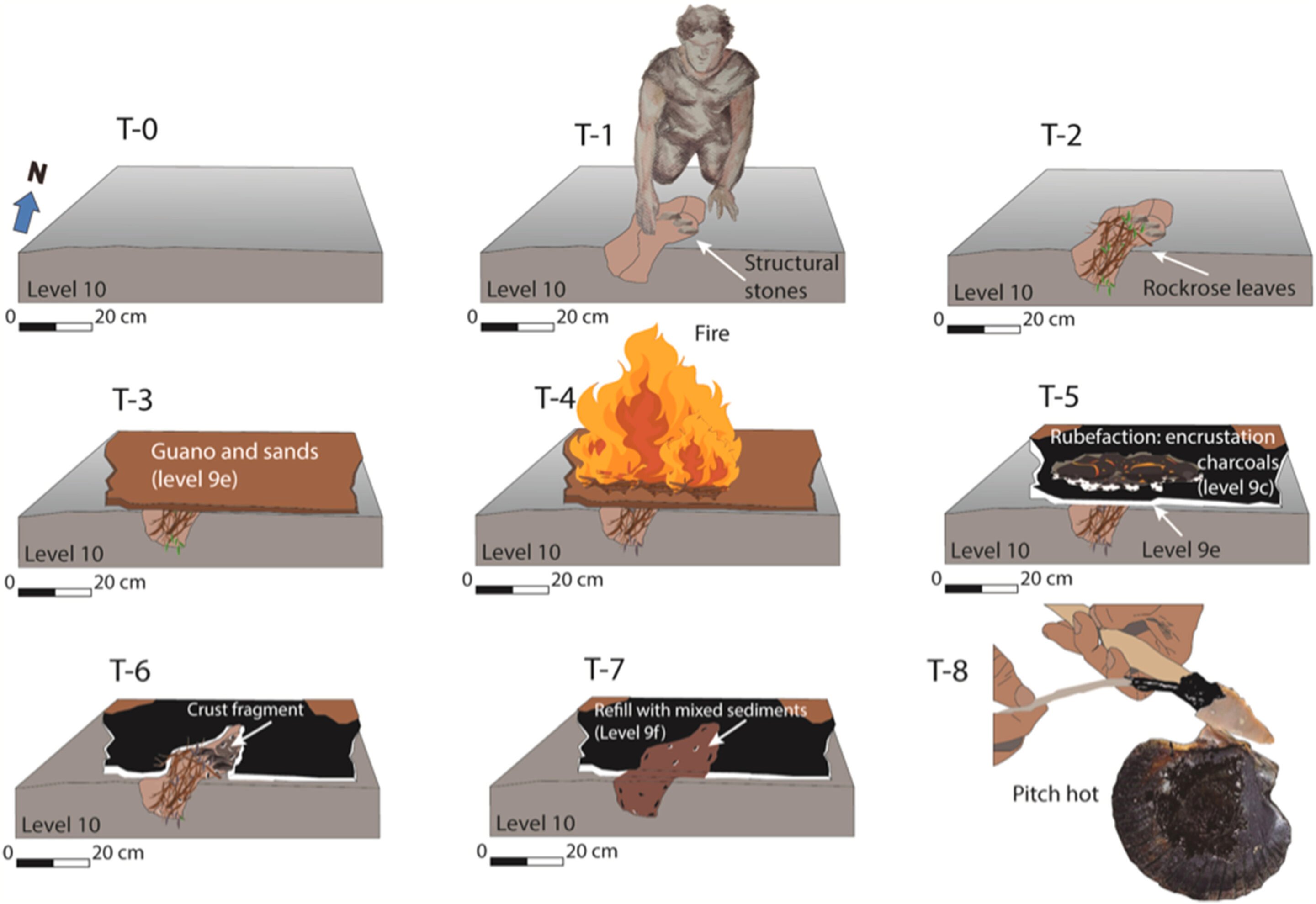 neanderthal-adhesive-m-1.jpg