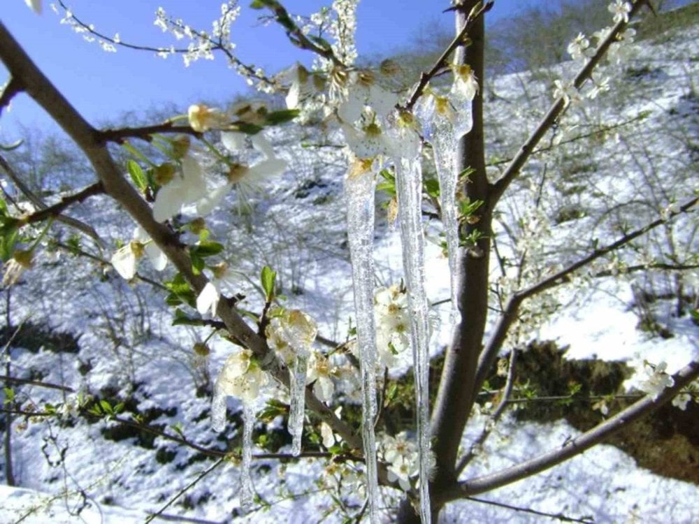 O ile yağmur sonrası soğuk hava uyarısı!