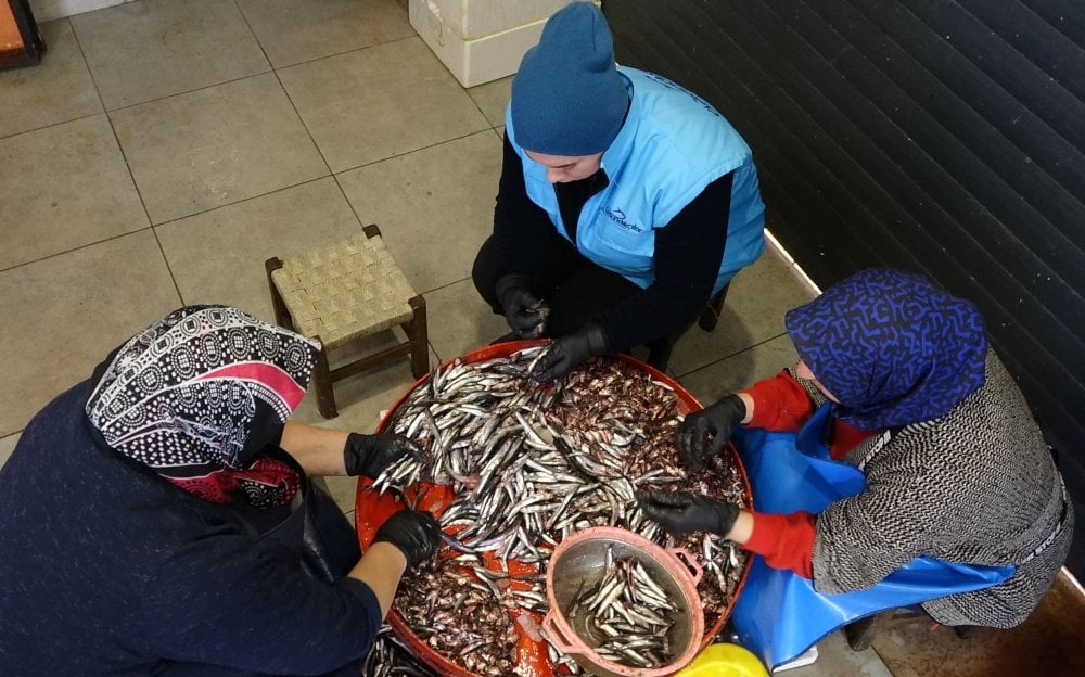 Trabzon’da hamsi bereketi! Tezgahlardaki balık çeşitliliği sürüyor