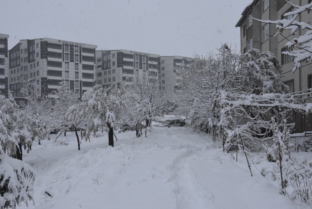 Yoğun kar yağışı Bitlis'te 84 köy yolunu kapattı