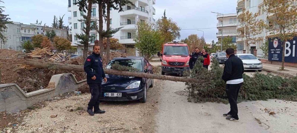 Park halindeki otomobilin üzerine ağaç düştü