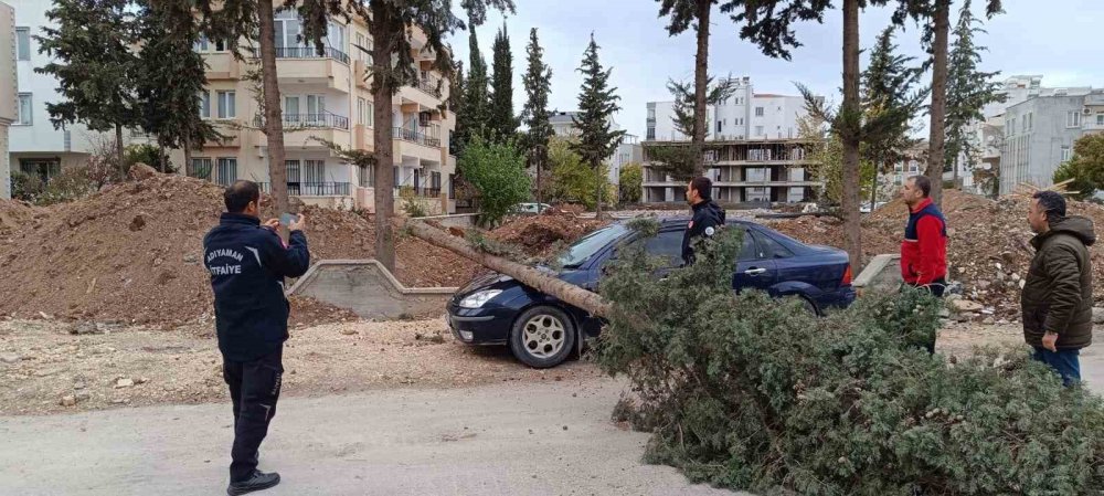 Park halindeki otomobilin üzerine ağaç düştü