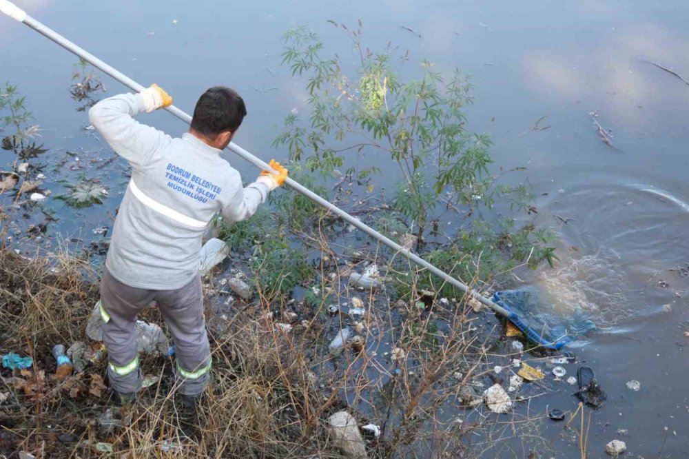 Tescilli Ağaç Topluluğu bölgesi için hummalı çalışma