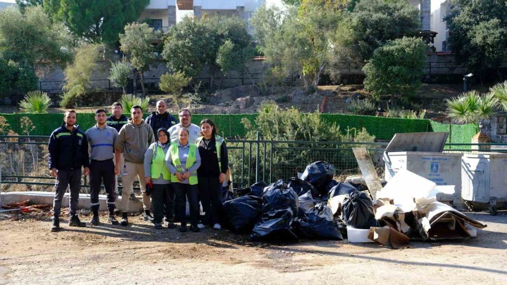 Tescilli Ağaç Topluluğu bölgesi için hummalı çalışma