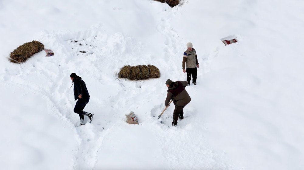 Soğuk kış günlerinde hayvanları unutmadılar