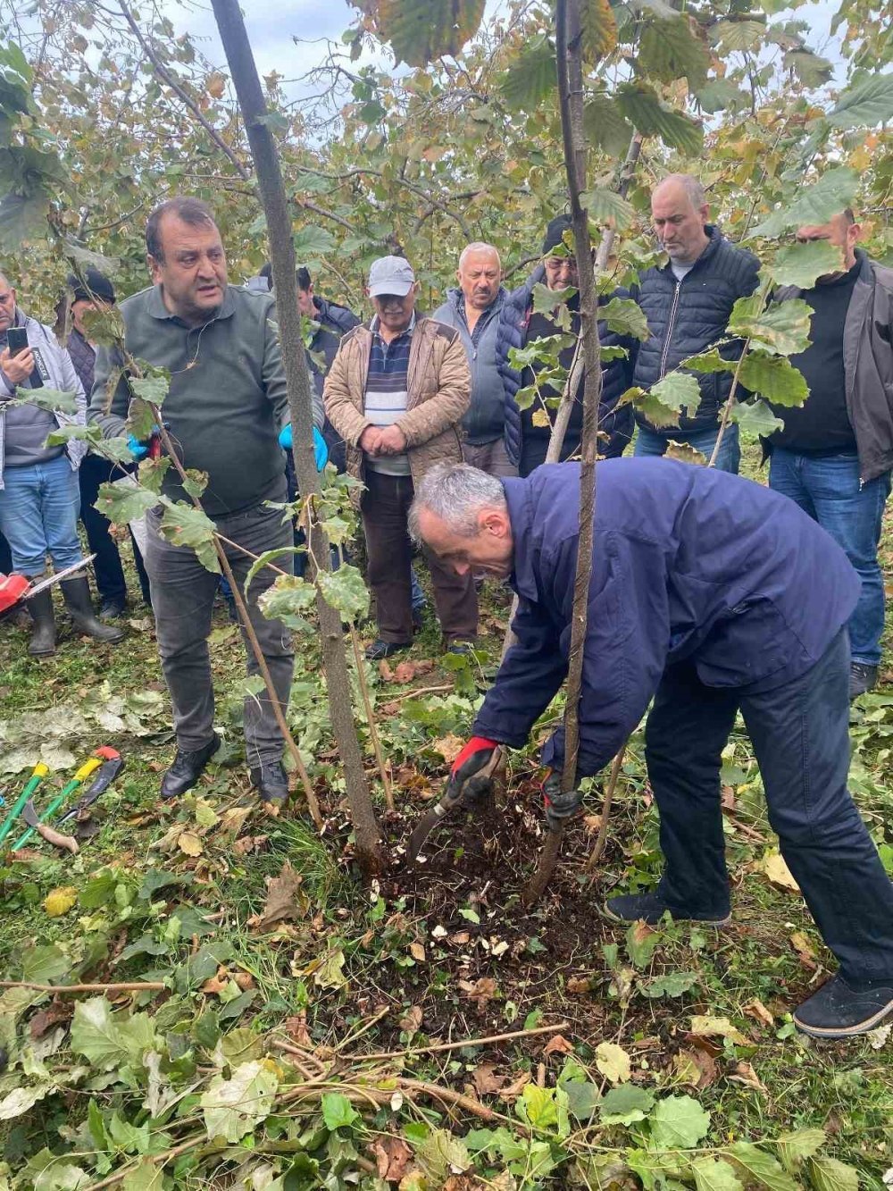 Giresun’da fındık verimini artıracak eğitim düzenlendi