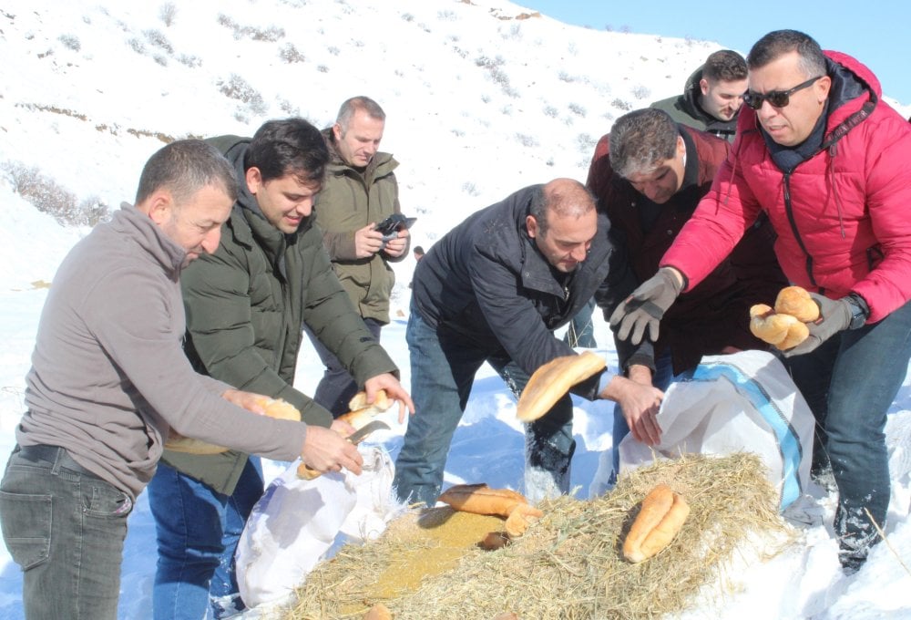 Karla karlı Tortum dağlarına yabani hayvanlar için yem bırakıldı