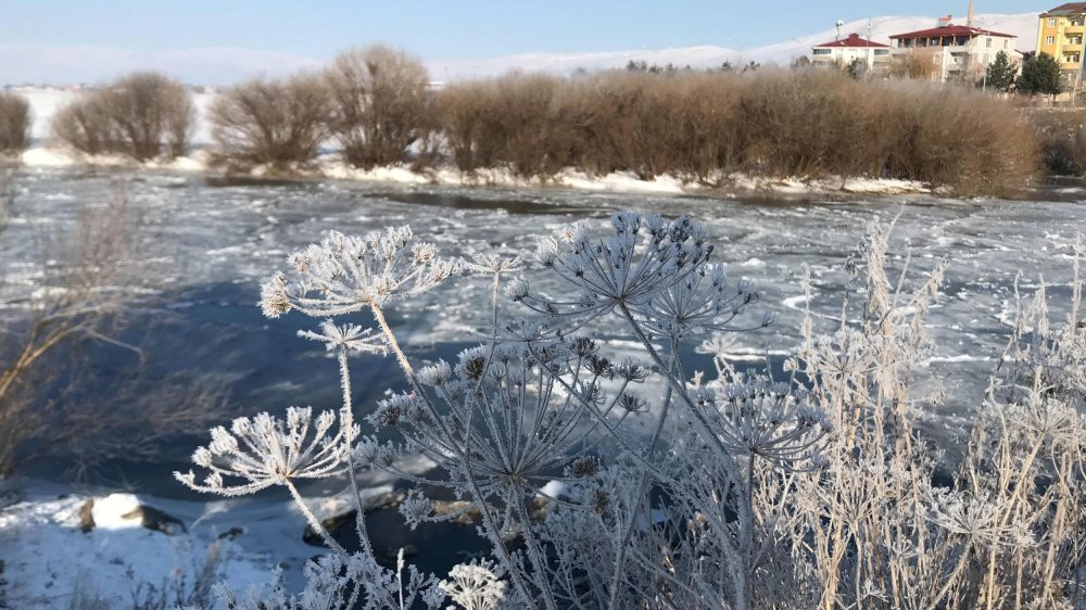 Ardahan’da soğuk hava etkisini gösterdi: Kura Nehri dondu
