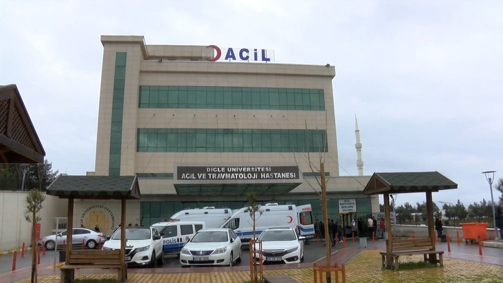 Diyarbakır Lice’de dehşet: 2 kardeşini öldürdü babasını yaraladı