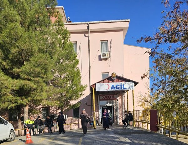 Diyarbakır Lice’de dehşet: 2 kardeşini öldürdü babasını yaraladı