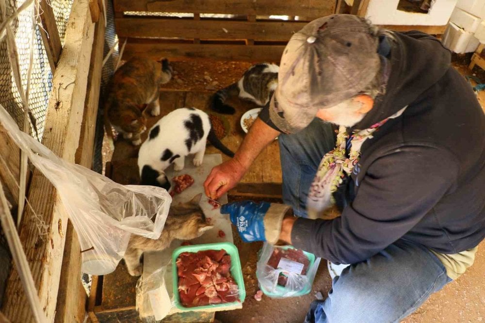 Ölen köpeğini yaşadığı barakaya gömdü