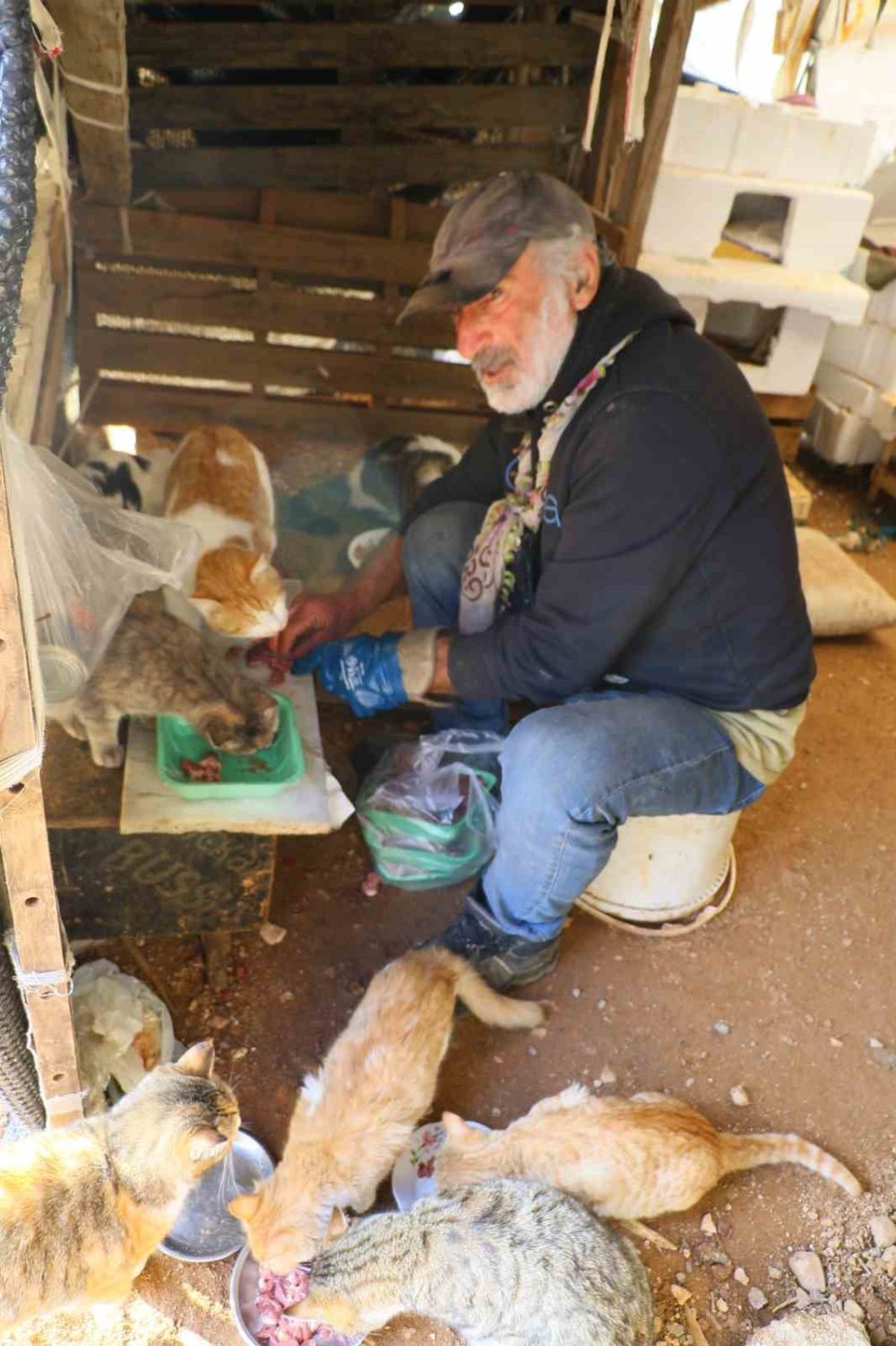 Ölen köpeğini yaşadığı barakaya gömdü