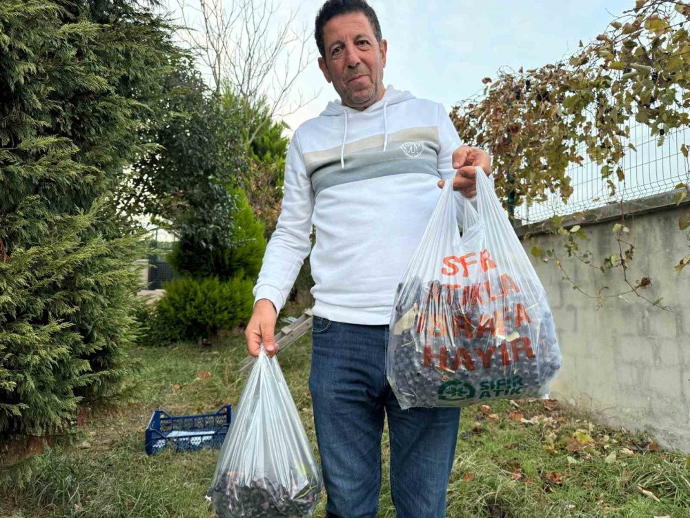 Bahçesindeki ektiği üzümden sezonda ikinci hasadını topladı