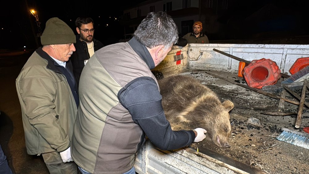 Seyir halindeki aracın önüne çıktı