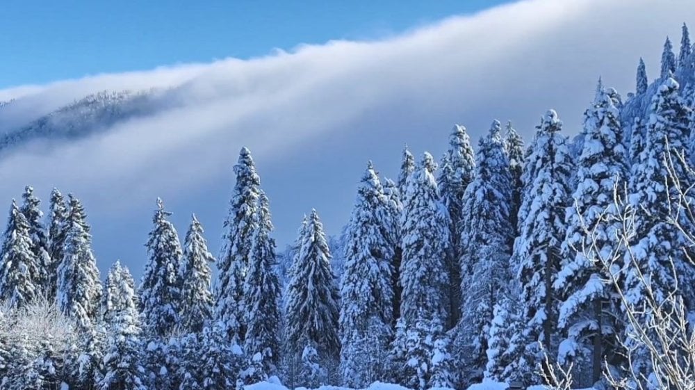 Artvin’de sis bulutları görenleri büyüledi