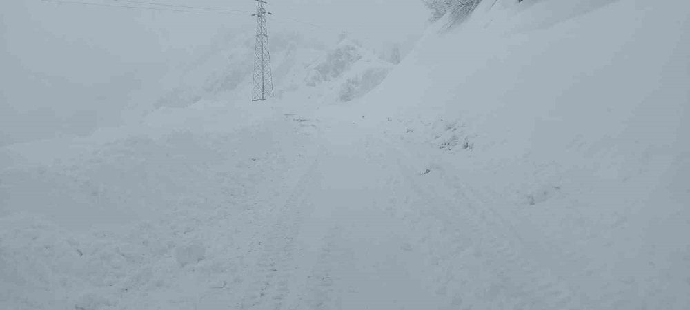 Artvin’de 6 köye ulaşım sağlanamıyor