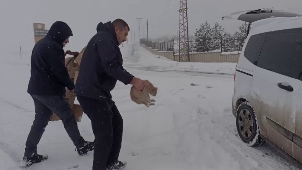 Erzurum polisinden alkışlanacak hareket