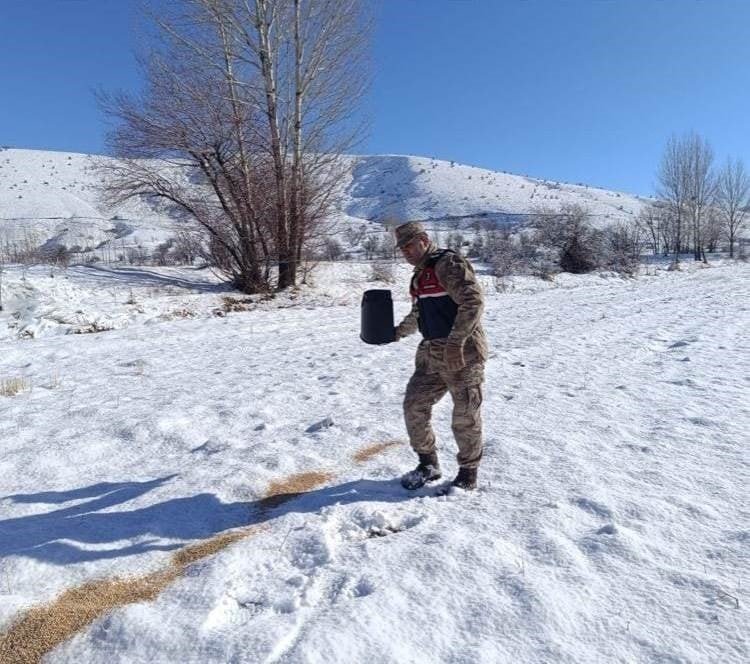 Bitlis’te yiyecek bulamayan yaban hayvanlarına yem bırakıldı